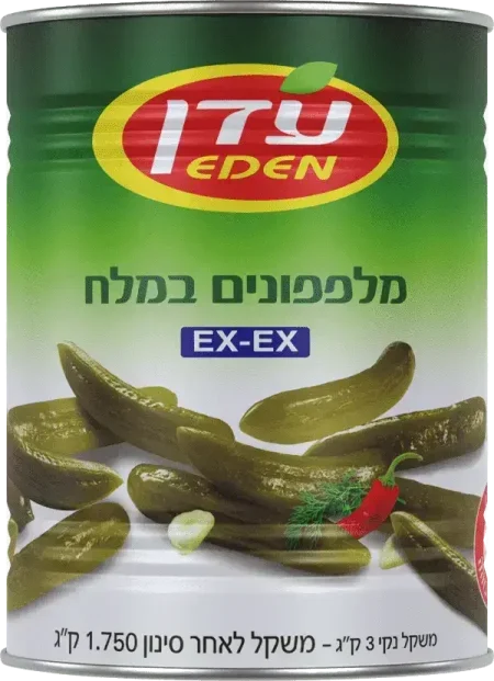 מלפפון 81-95 מלח 9 ליטר עדן